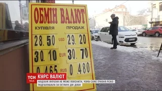 Здешевшала і продовжує падіння: чим спричинений рух української гривні