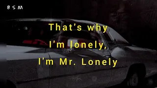 Bobby Vinton - Mr lonely - lyrics