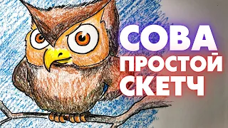 Как нарисовать сову | How to draw a owl