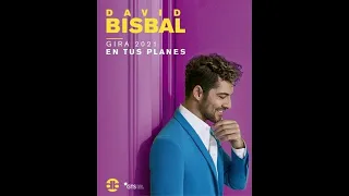Prueba de sonido + concierto David Bisbal gira en tus planes Granada