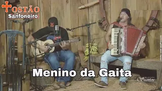 Menino da Gaita Tostão Sanfoneiro AO VIVO