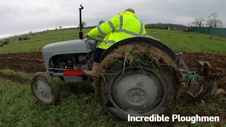 1950 Ferguson TED-20 2.1 Litre 4-Cyl Petrol / TVO Tractor (28 HP) with Ferguson Plough