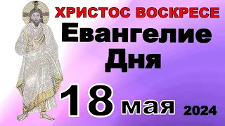 Включи прямо сейчас!  Евангелие дня 18 мая  2024 года