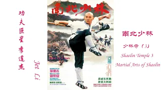 南北少林（少林寺3）Shaolin Temple 3 Martial Arts of Shaolin 1986 李连杰 Jet Li