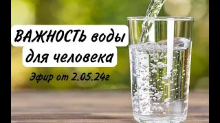 2.05.24г Важность воды для человека