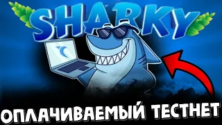 1000$ за тестнет Sharkyswap без вложений | airdrop | заработок без вложений | криптовалюта