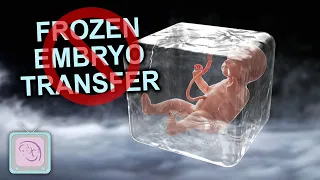 IVF Frozen Embryo Transfer Process - When should you cancel?