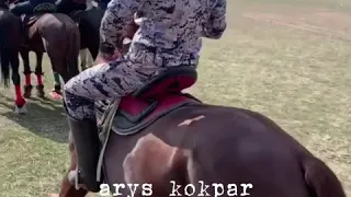 Шайхан қажы аттар🏇