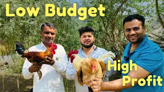 profitable poultry farming in it’s natural way !! 20,000 देसी मुर्गियों का फ़ार्म!!