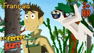 Sauvetage de lémuriens et plus [épisodes complets] Les Frères Kratt