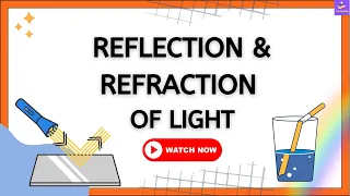 What Is Reflection & Refraction Of Light | Basic Concept | Differences | Examples In Daily Life |