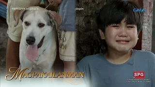 Magpakailanman: When mom hates your dog