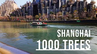 1000 Trees🌳 - Shanghai - City Walk - 4K 60 fps