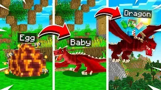 How To TRAIN Your DRAGON in MINECRAFT! (Pet Dragon)