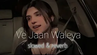 VE JAAN WALEYA || ijazat Falak (Slowed+reverb) || DD music #viral #song