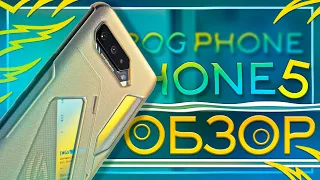 ROG PHONE 5 спустя полгода ❄️ ИГРОВОЙ за 48К | Честный Обзор