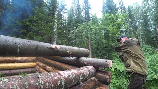 ЗАБРАЛИСЬ В ДИЧАЙШИЕ ДЕБРИ. НЕТ СВЯЗИ И ЛЮДЕЙ! РУБКА БРЕВЕНЧАТОЙ ИЗБЫ ИЗ ВЕТРОВАЛА. РАЗГУЛ СТИХИИ