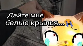 LPS MV     ×😭ДАЙТЕ МНЕ БЕЛЫЕ  КРЫЛЬЯ😭×