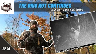Shooter Buck Shows Up on Camera - 2021 Ohio Archery Season