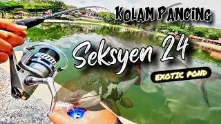 Melamar Chaophraya Kolam Seksyen 24 | Unlock 5 Species | Bullzen Dark Imperial