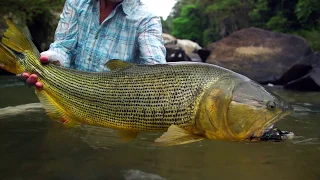 Fly Fishing for Dorado and Pacu in Bolivia in Tsimane 3X "Just Fish Porn" (Season One, Episode Two)