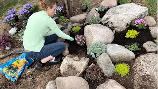 Planting A Rock Garden! | Simply Bloom