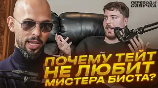 Почему Эндрю Тейт НЕ ЛЮБИТ Мистер Биста?