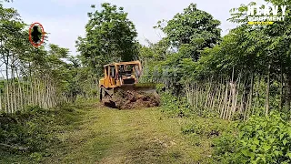 Excellent work Caterpillar D6R XL bulldozer operator Cleaning Plantation Roads