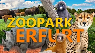 Zoopark Erfurt | Zoo-Eindruck