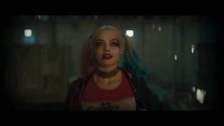 Harley Quinn & Joker - Animals