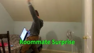 Roommate Surprise