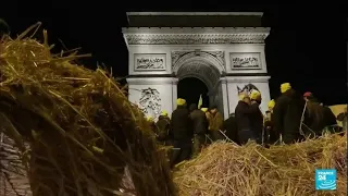 Police arrest more than 60 at farmers' protest on the Champs-Élysées in Paris • FRANCE 24