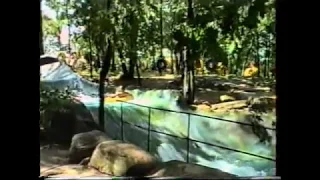 Action Park 1991 - Rides and Attractions