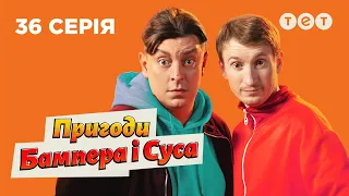 🐮 Домашнє господарство | Пригоди Бампера і Суса — 36 серія