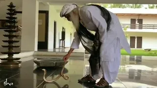 Sadhguru Handles A Cobra 🐍 | #Shorts #cobra