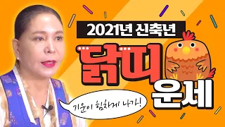 2021년 신축년 대박나는 닭띠운세?! ''닭띠분들 축하드립니다!'' (2021년 신축년 닭띠운세)