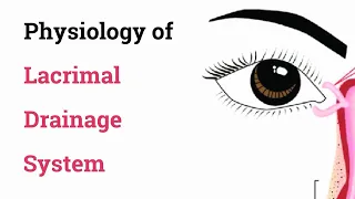 Physiology of Lacrimal Drainage System - Optometry Club