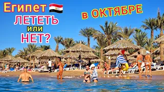 Египет в ОКТЯБРЕ 🇪🇬 ЦЕНЫ ПАДАЮТ❗Стоит ли ЕХАТЬ? Погода СЕЙЧАС. Какой КУРОРТ выбрать