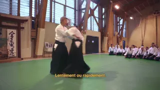 International Aikido Seminar LE VIGAN 1990/2015 - Episode 2 : IKEDA Sensei