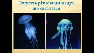 «Цікаве поряд. У світі медуз.» Виховне заняття для ГПД. Вчитель: Кільдій Т. А.