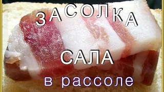 Как солить сало в рассоле в домашних условиях. Вкусно и просто.