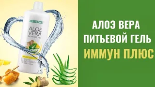 ЛР ЛАЙФТАКТ Питьевой гель Алоэ Вера Иммун Плюс - продукт для укрепления вашего иммунитета