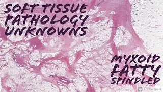 Soft Tissue Pathology Unknowns: Myxoid, Fatty, and Spindled Lesions