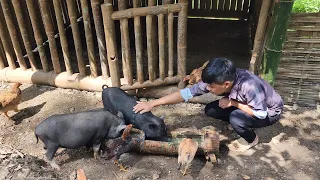 How to Care for Animals & Garden at the Farm, install electric bulbs in the house - Hà Tòn Chài