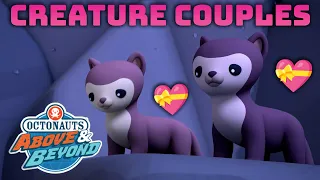 Octonauts: Above & Beyond - Creature Couples 💕🫶 | Valentine's Day Compilation | @OctonautsandFriends