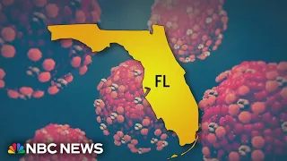 Measles outbreak grows in Florida with seventh case reported