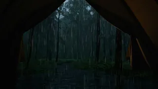 Coziest Rain Camping | Thunderstorm Sounds | for Study, Sleep and Relaxation