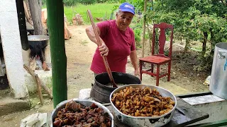 FESTA NO SITIO, SE ANTES DO NATAL É ASSIM, IMAGINE NO NATAL.