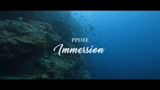 Ppdee - IMMERSION (Official Music Video)