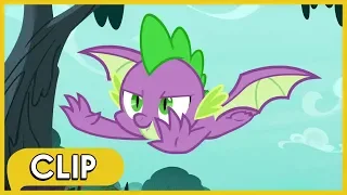 Spike Gets Wings!!! - MLP: Friendship Is Magic [Season 8]